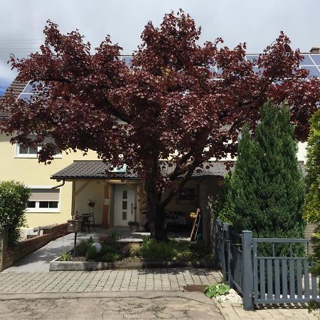 Apartmentvermietung Ingrid Bolkart - Voehlino 2 Illertissen Dış mekan fotoğraf